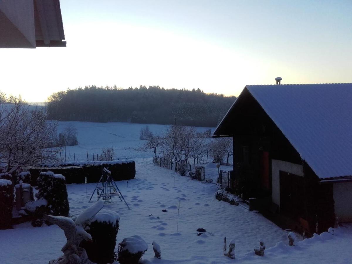 Dahoam By Fam. Franz Apartman Gamlitz Kültér fotó