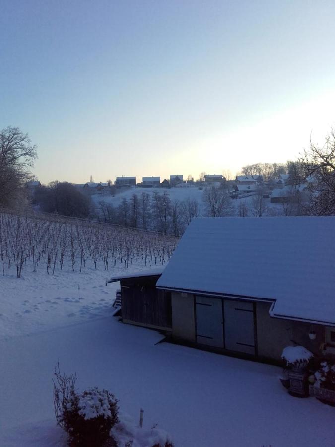 Dahoam By Fam. Franz Apartman Gamlitz Kültér fotó